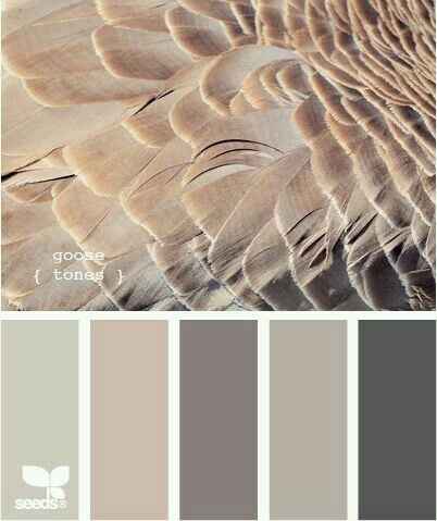 Aiuto pittura camera da letto! - 6