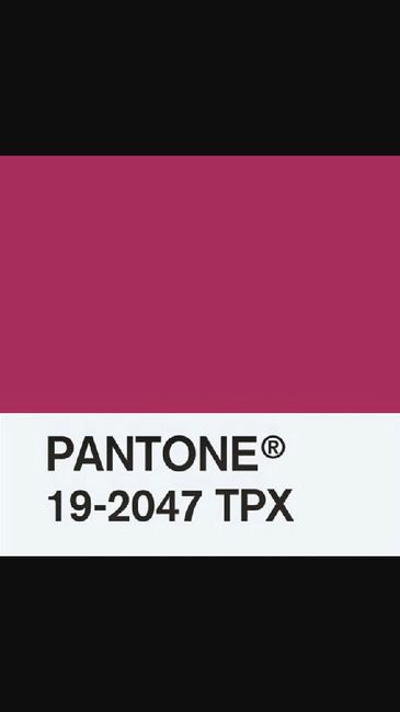 Colore pareti camera matrimoniale - 1