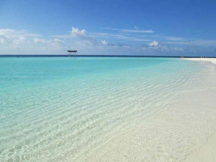 Viaggio di nozze: newyork+messico oppure maldive - 2