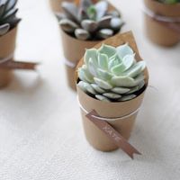 Segna posto Verde e avorio