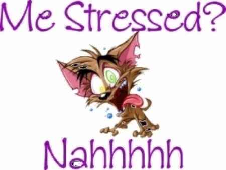 stress