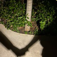 Postate una foto di voi due 👇 - 1