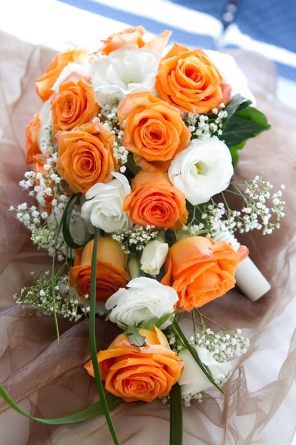 Un po’ di colore 🌈 12