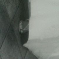 Non dimenticate le scarpe piano b!!!! - 1