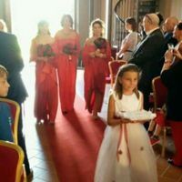 Damigelle adulte - 1