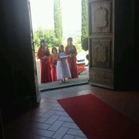 Damigelle adulte - 2