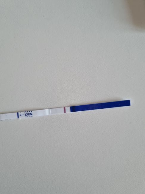 Chi non le aspetta per Febbraio 2024 👩‍❤️‍👨❣️ - 1