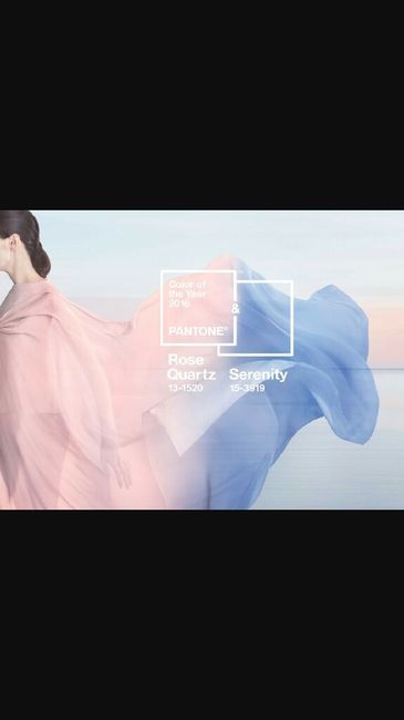 Non so che scegliereeeee - 1