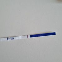 Chi non le aspetta per Febbraio 2024 👩‍❤️‍👨❣️ - 1