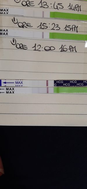 Chi non le aspetta per Novembre 2022🍀🤞❤️🤞🍀 - 1