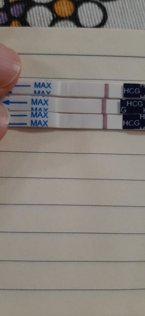 Chi non le aspetta per marzo 2023🍀 - 1