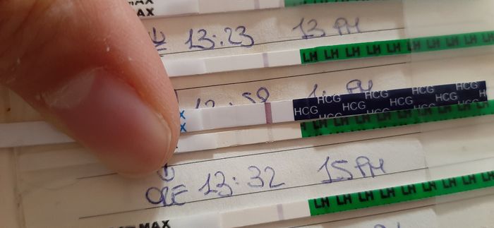 Chi non le aspetta per marzo 2023🍀 1