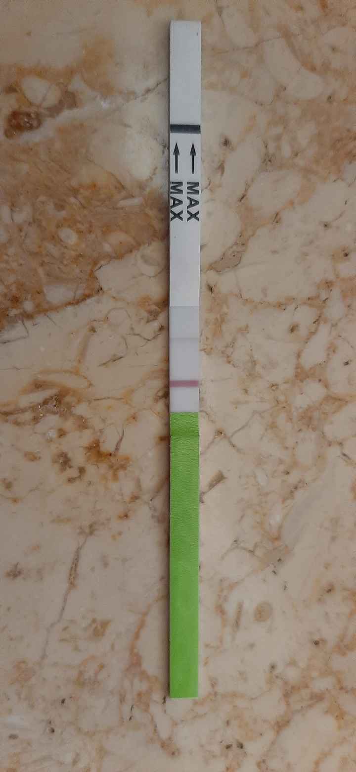 Chi non le aspetta per marzo 2023🍀 - 1