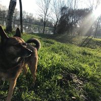 Bimbo peloso😍🐶 - 1