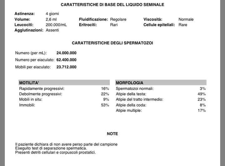 Aggiornamento spermiogramma - 1