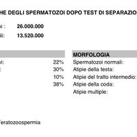 Aggiornamento spermiogramma - 2