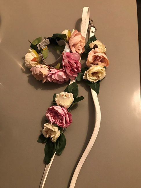 COLLARE E GUINZAGLIO