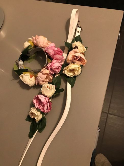 COLLARE E GUINZAGLIO