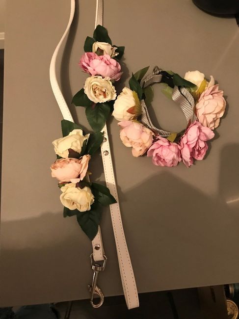 COLLARE E GUINZAGLIO