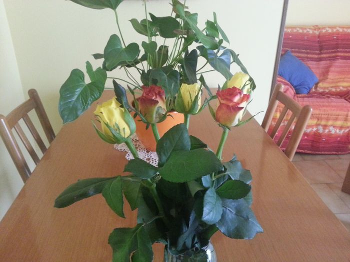 Le compagne di classe