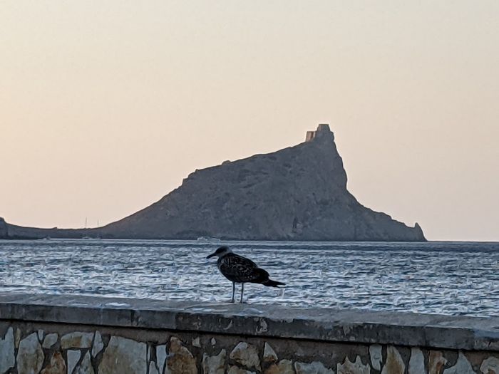 Il vostro viaggio di nozze - 3