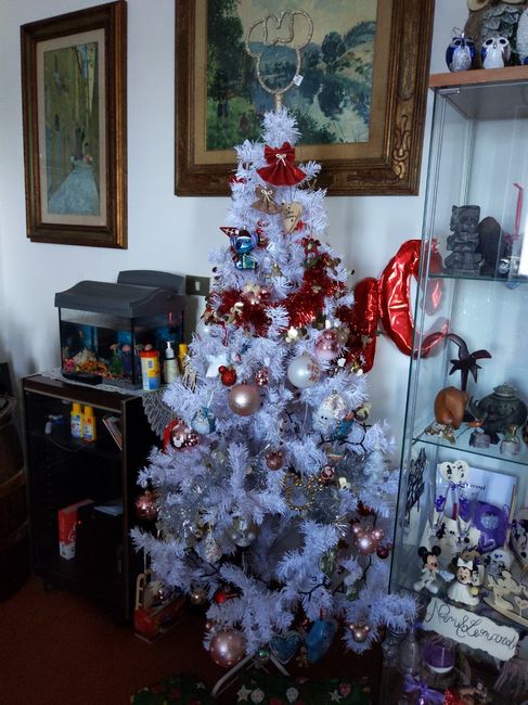 🎄Test di Natale 🎄 :che albero ti piacerebbe avere da abbellire in casa? - 1