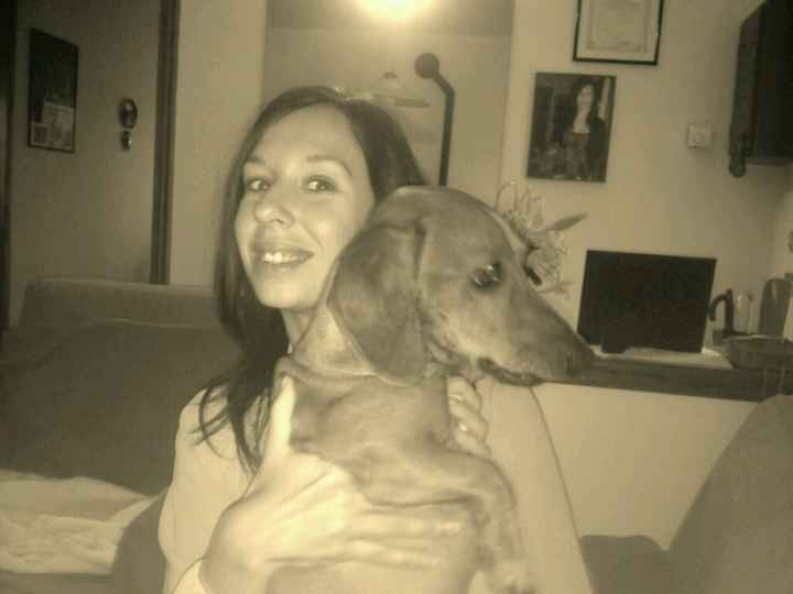 Le foto con i nostri pelosoni - 1