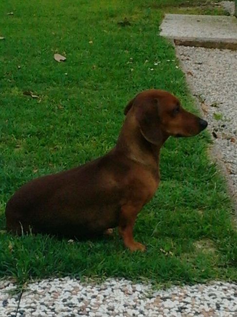 Le mie scarpe !!!!!!!!!! - 1