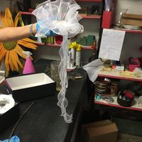 Consigli bouquet - 1