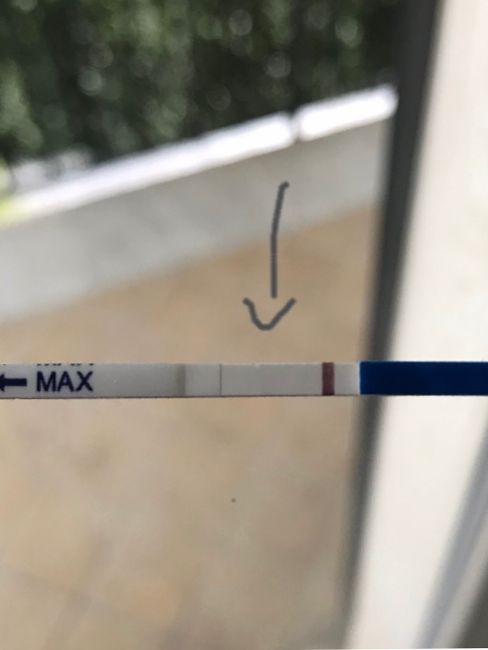 13po, voi la vedete??? - 1