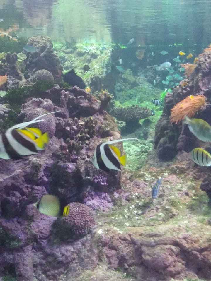 Ricordi del nostro viaggio di nozze - 3