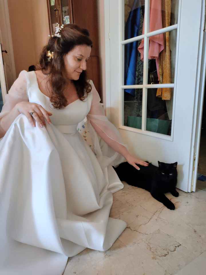 Gatto nero 🐈‍⬛ - 1