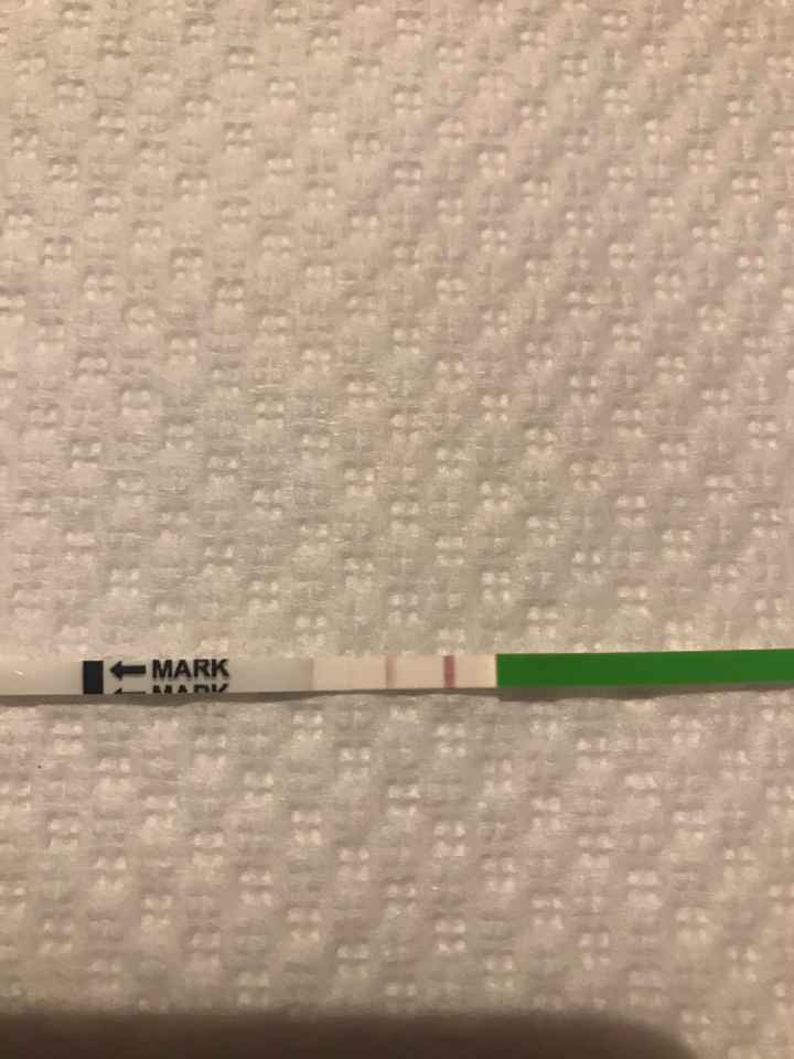 Per chi non le aspetta per febbraio 2020 - 1