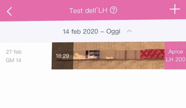 Chi non le aspetta per Marzo 2020 - 1