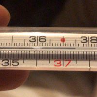 Chi non le aspetta per Marzo 2020 - 1