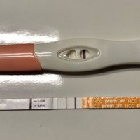 Chi non le aspetta per Agosto 2023 🍀💕🍀 - 1