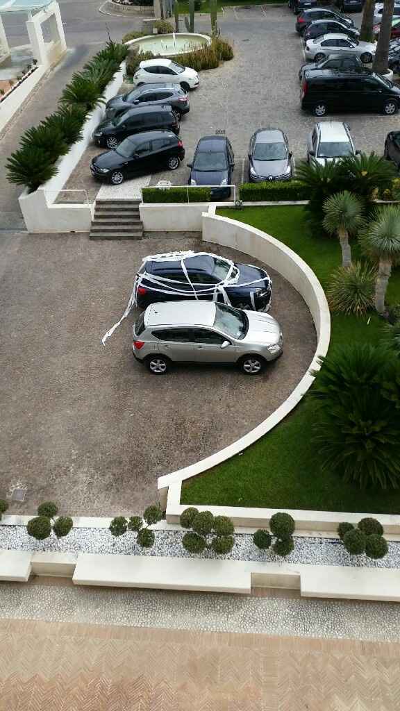 Magnifico 24/7/2016 - 19