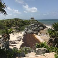 Situazione alghe in Messico - 1