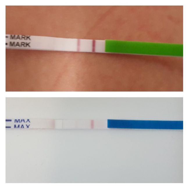 Test ovulazione vs test gravidanza 7