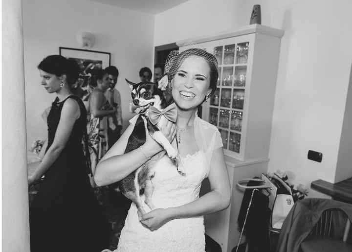 Foto con amici pelosi 😸🐶 - 1