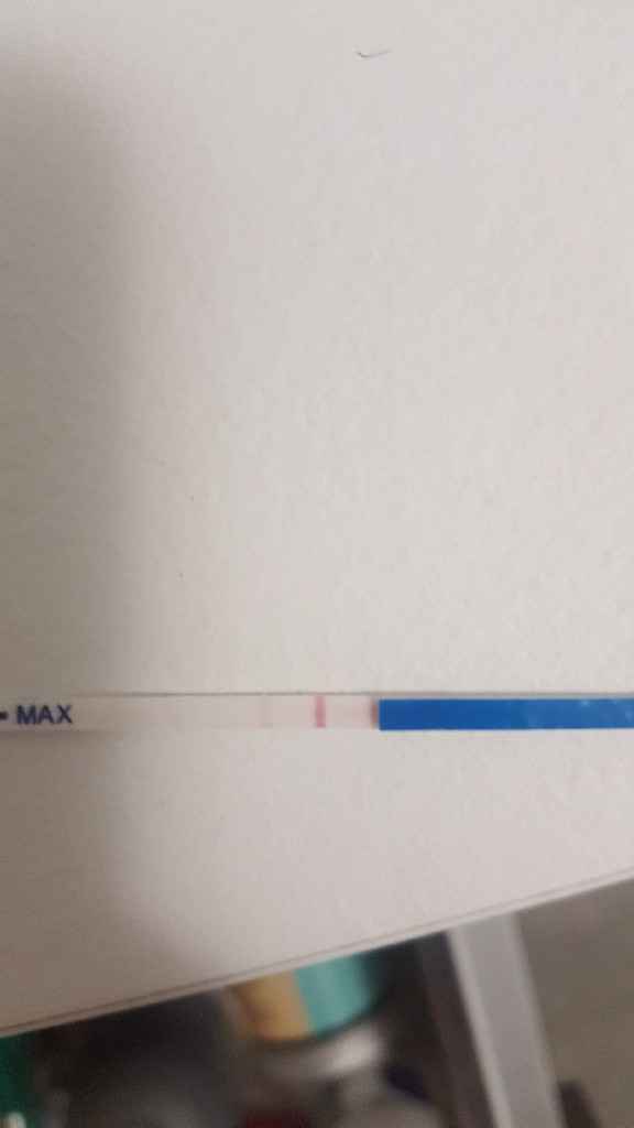 Incinta o non incinta? - 1