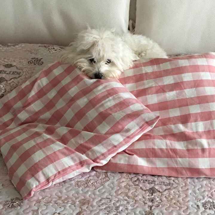 Trilly sarà con me :) - 1