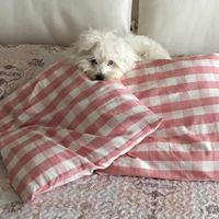 Trilly sarà con me :) - 1