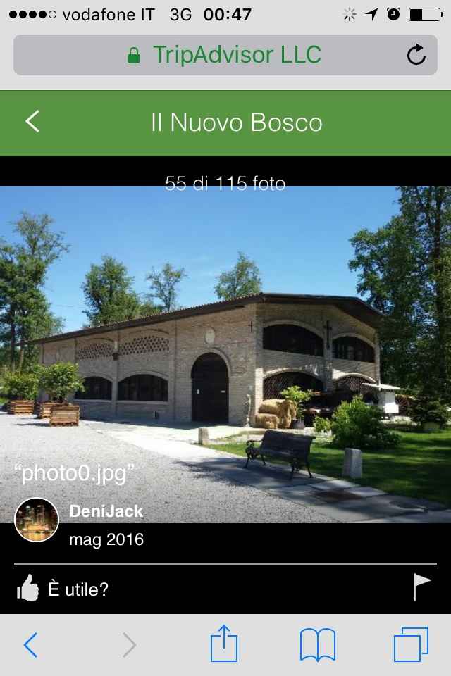 La fiaba nel bosco - 2