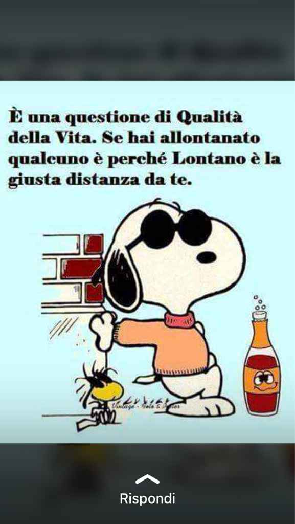 Sono un po'amareggiata. sfogo. - 1