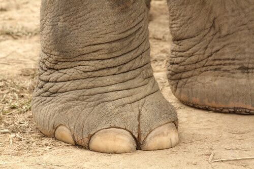 Future mamme ottobre 2022 - 1