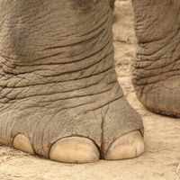 Future mamme ottobre 2022 - 1