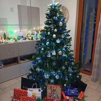 4️⃣ Avete già fatto l'albero? - 2