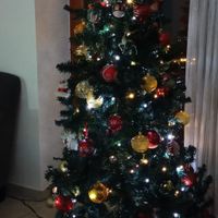 4️⃣ Avete già fatto l'albero? - 3