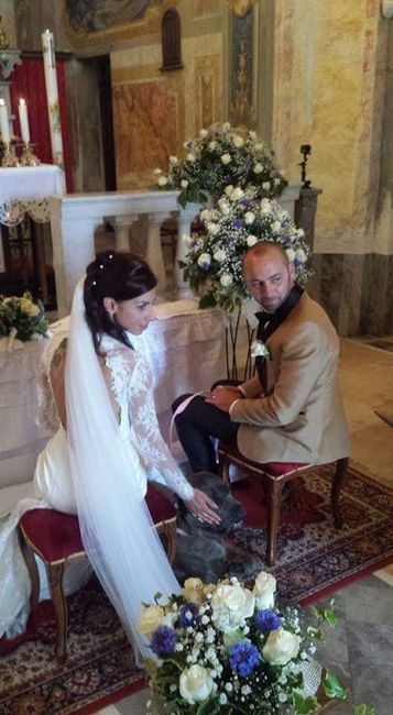 Nozze con amico a 4 zampe